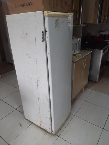 Geladeira 100 00
