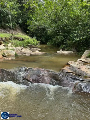 Fazenda à Venda em Santa Cruz de Goiás 75 Alqueires | Pecuária