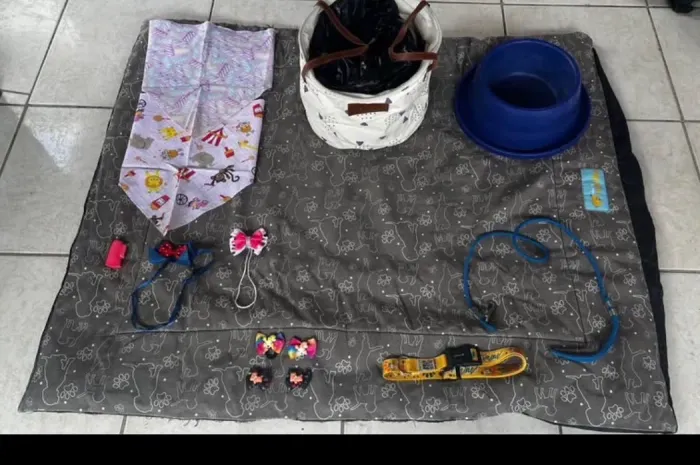 Cama para pet e acessórios 