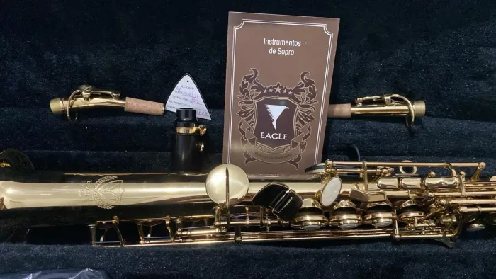 Sax Eagle SP502
