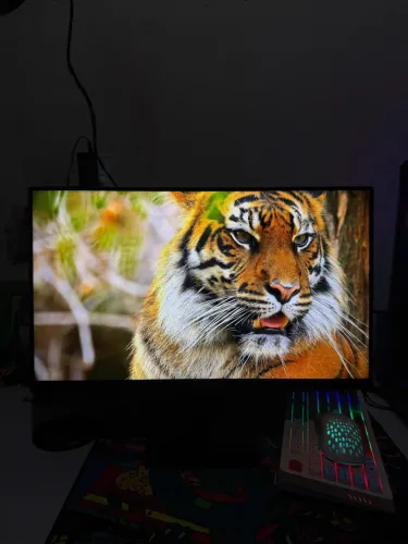 Monitor LG 24pol IPS 100hz