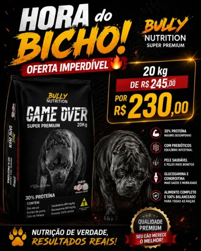game over 20 kg 
