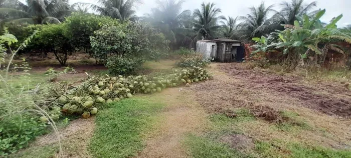 Vendo ou Troco Sítio Em Paraipaba