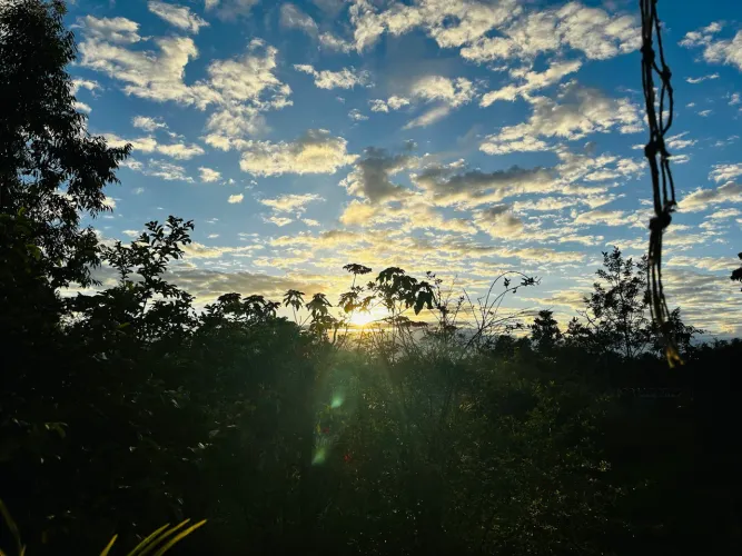 Lote / Terreno Jardim Botânico preço baixo