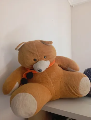 Vendo urso ? gigante 