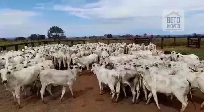 Fazenda/Sítio/Chácara para venda possui  metros quadrados