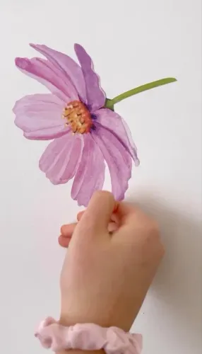 Papel de parede - apliques