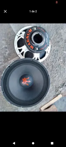 Grave par de rex 15p