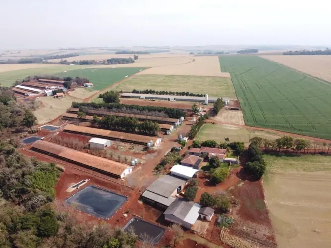 OPORTUNIDADE GRANJA DE ALTA PRODUTIVIDADE EM TOLEDO PR