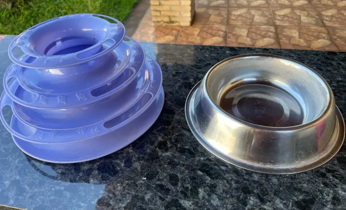 Vasilhas de água e comida para gatos 