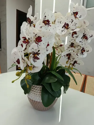 Vaso decorativo