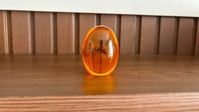 Mosquito em Âmbar de Jurassic Park