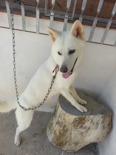 Vendo ou troco