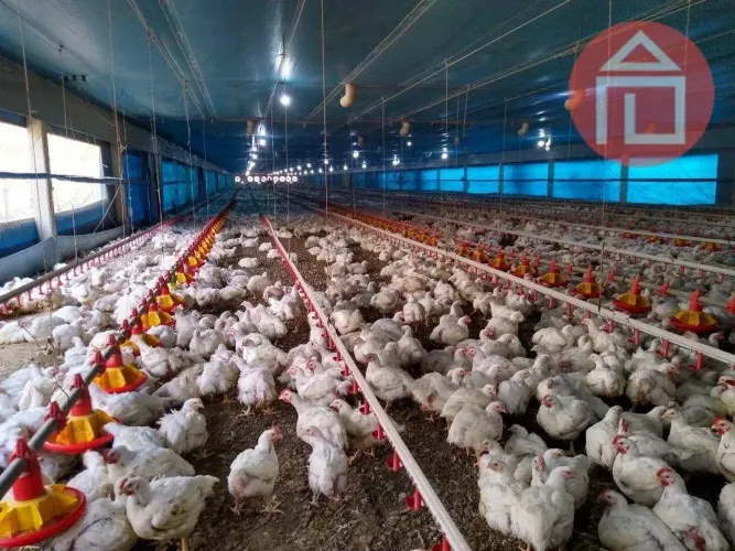Galpão à venda, 20000 m² por R$ 13.000.000,00 - Zona Rural - Morro Agudo/SP
