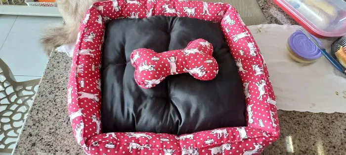 CAMA PET GG