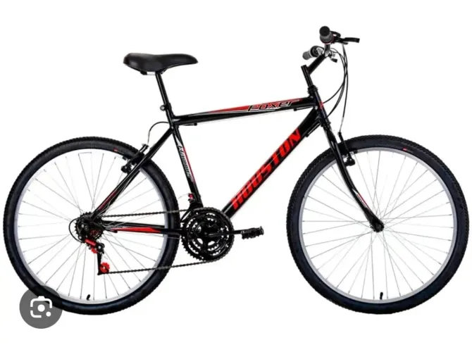Bicicleta Adulto 