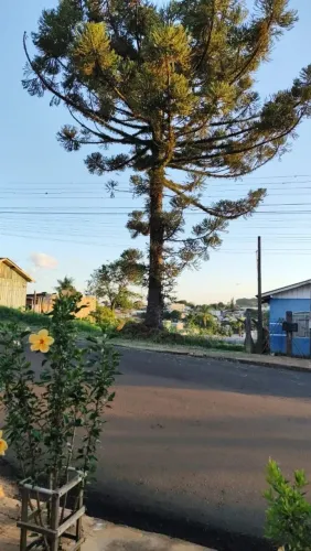 Terreno 600m2 no centro