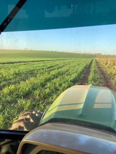 Fazenda dupla aptidão Mato Grosso Sul