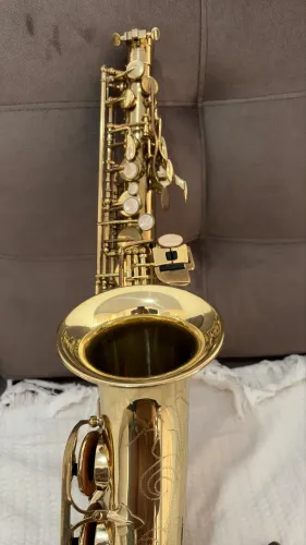 Sax steusart