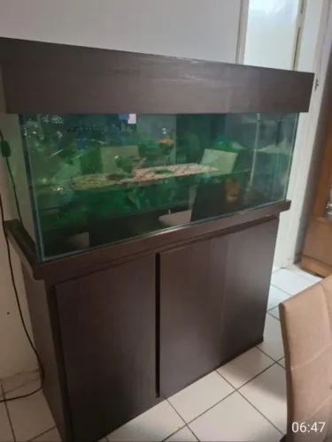 Aquário 200 litros