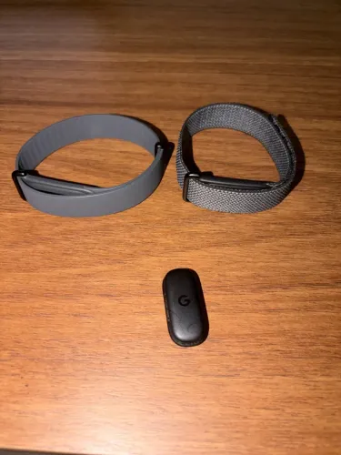 Google FITBIT AIR