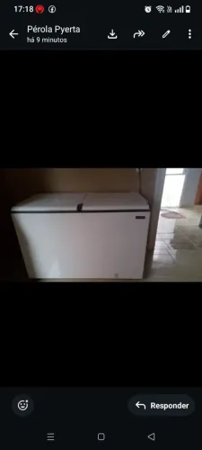 Frizzer 2 tampa nova