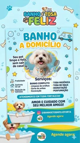 Banho e tosa à domicílio 