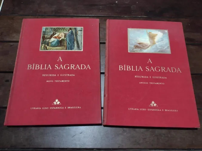 Coleção 2 Volumes - A Bíblia Sagrada, Resumida e Ilustrada - Novo e Antigo Testamento