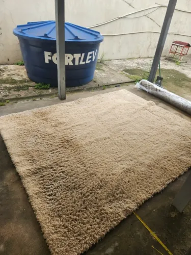 Tapete (2,5 m x 2,0 m) Valor negociável