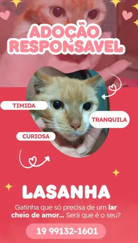 Doa-se Gatinha