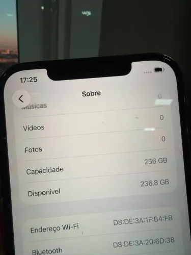 iPhone 12 Pro Max 256
