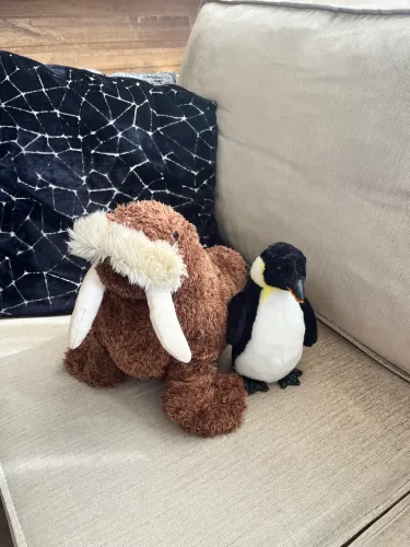 Kit 2 Pelúcias Oficiais SeaWorld Orlando - Morsa e Pinguim