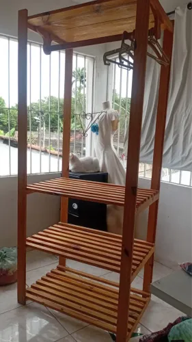 Arara roupas