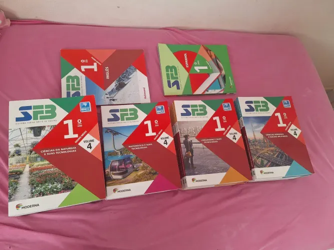 Livros SFB 1° Ano do Ensino Médio (Semiusado)