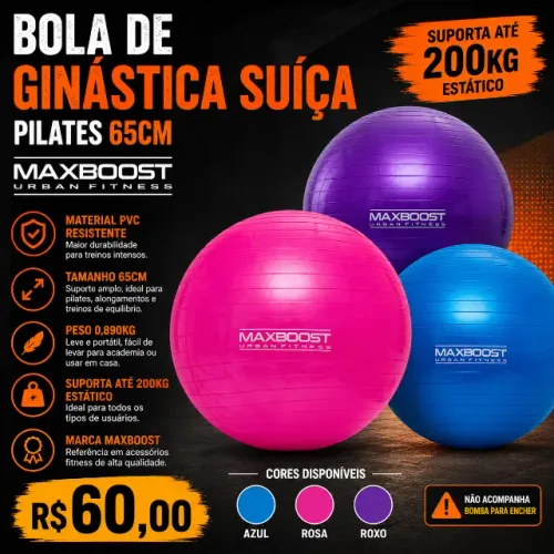 Bola De Ginastica Suiça Pilates 65cm 