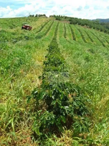 Fazenda à venda no município de Aparecida/SP.