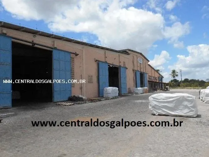 Galpão para Venda em Alagoinhas, br 101