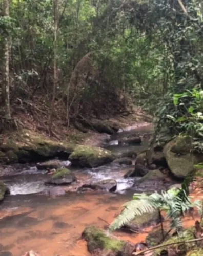 Sítio com Cachoeirinha e Água Corrente em Santa Maria Jetibá
