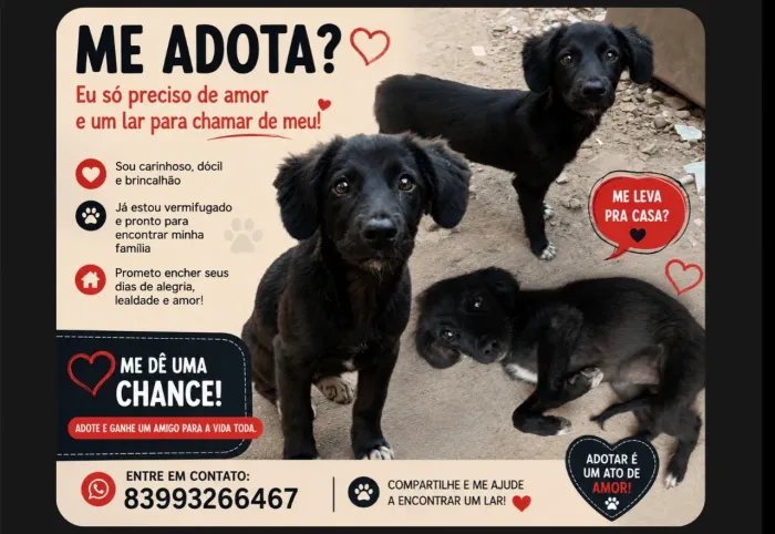 Doação