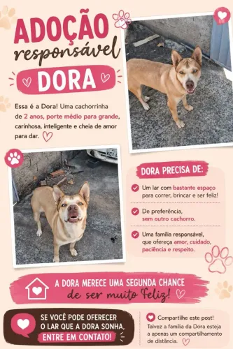 Doação responsável