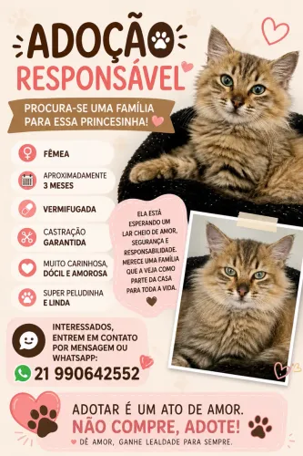 Adoção responsável 