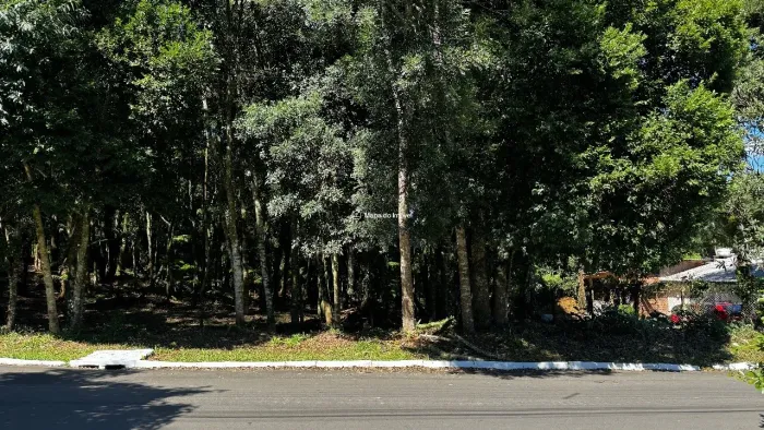 Terreno à Venda em Gramado - Oportunidade Única!