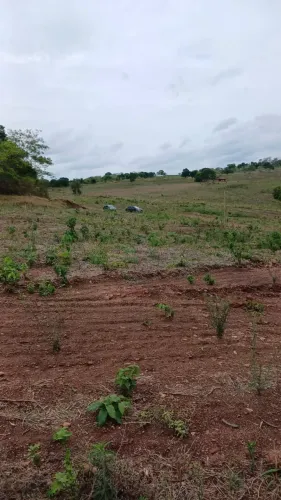 Chácara com energia em Professor Jamil 2200 m2 29.900 chacaras baratas de mais