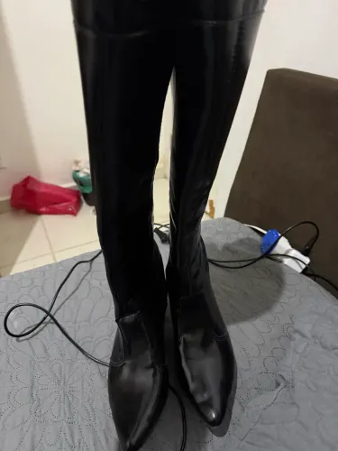 Bota