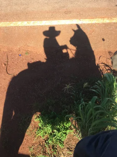 Procuro terra pra alugar