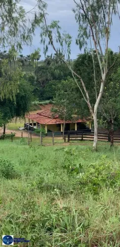 Chácara à Venda em Uruaçu-GO | 11,05 Alqueires | Excelente Localização