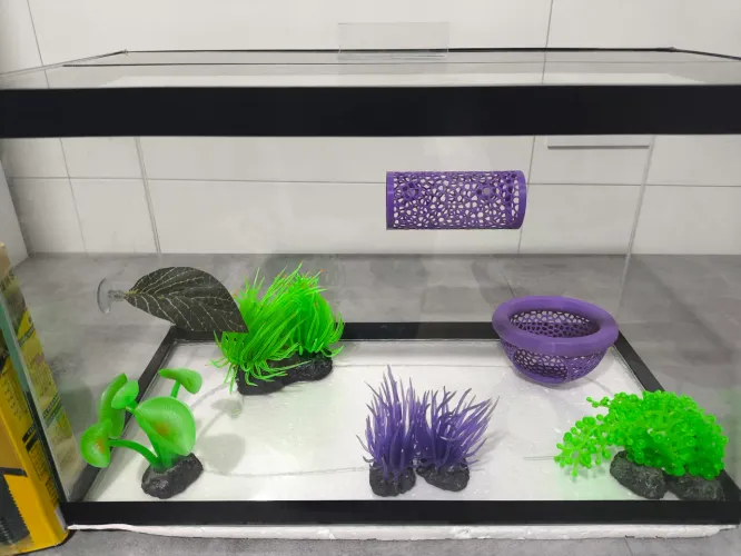 Aquário completo 20L 