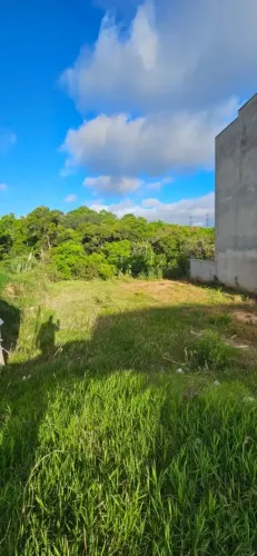 Lote para Venda em Almirante Tamandaré, Jardim Giannini