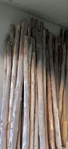 ESCORA DE EUCALIPTO 3M