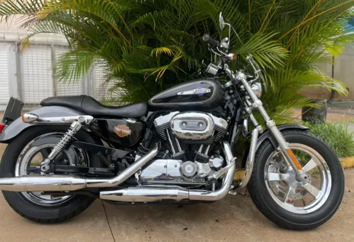 HARLEY DAVIDSON XL 1200 CUSTOM